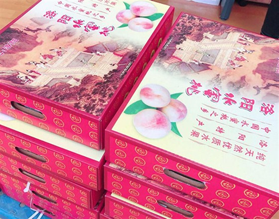 常州泉辰印刷