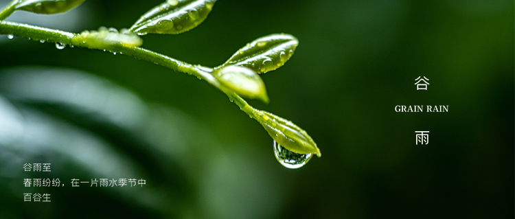 谷雨3